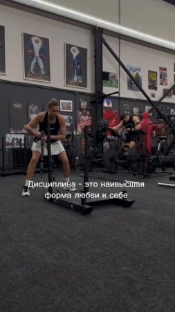 Дисциплина