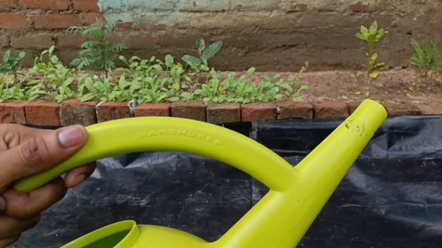 Ugaoo 5 Litre Large Plant Watering Can for Garden-Green