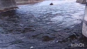 Почему рождаются дети - инвалиды?