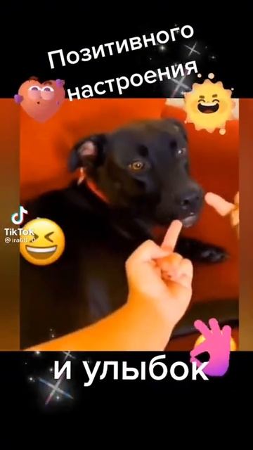 хорошего настроения смотреть онлайн