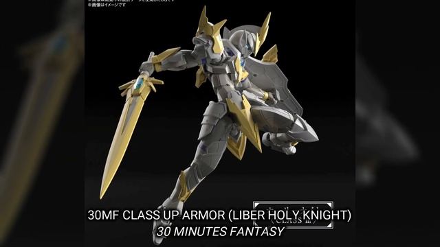 30MF CLASS UP ARMOR (LIBER HOLY KNIGHT and LIBER PALADIN) / 30 MINUTES FANTASY