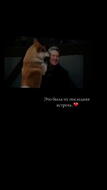 Название : Хатико #aestheticvideo #foryou #фильмнавечер #фильм #хатико #sad смотреть онлайн