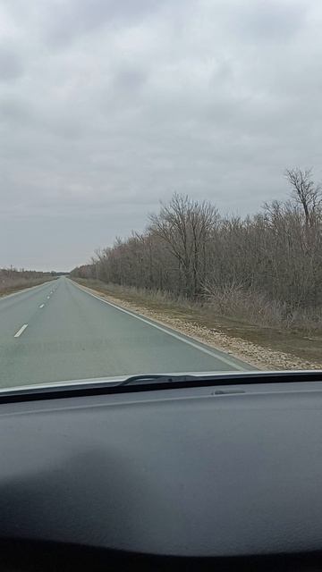 Дорога, природа