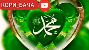 Нашид кори Алишер