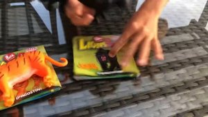 Распаковка Львы и Ко макси часть 1