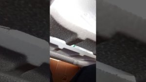 я в гробу