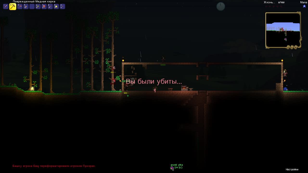 Terraria - ЧтоКогоГде?