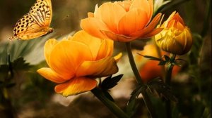 САМАЯ КРАСИВАЯ   МАНТРА -ДЛЯ ПРИВЛЕЧЕНИЯ ГАРМОНИИ В ОТНОШЕНИЯХ  И ЛЮБВИ