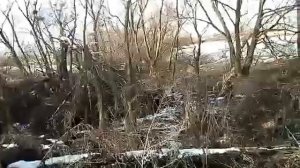 Весенняя охота с мр512