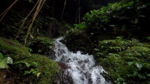 ШКОЛЬНИКА СТОШНИЛО НА УРОКЕ ОБЖ ИЗ ЗА СНЮСА!!