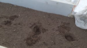 20250415_175553.mp4