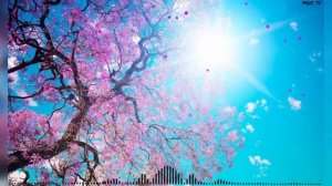 Летять роки - Ярослав Смаль - Летять роки (Скачать)