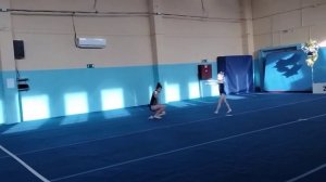 Сивцова Алиса Скрипниченко Елизавета