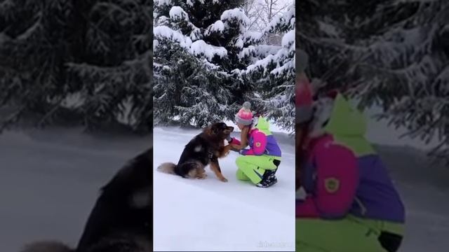 Зимние выходные в "Шале Рояль" праздник сжатый до нескольких счастливых мгновений. смотреть онлайн
