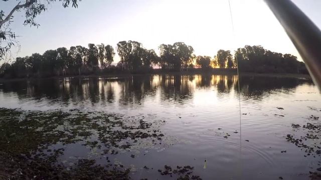 Ep-4 Kakadu Part 1 смотреть онлайн