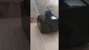 Самодельный инкубатор в  действии! Инкубатор своими руками!#инкубатор #цыплята