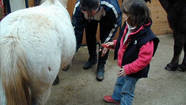 Moi vanessa quand j'ai fait mon stage à Weiller смотреть онлайн