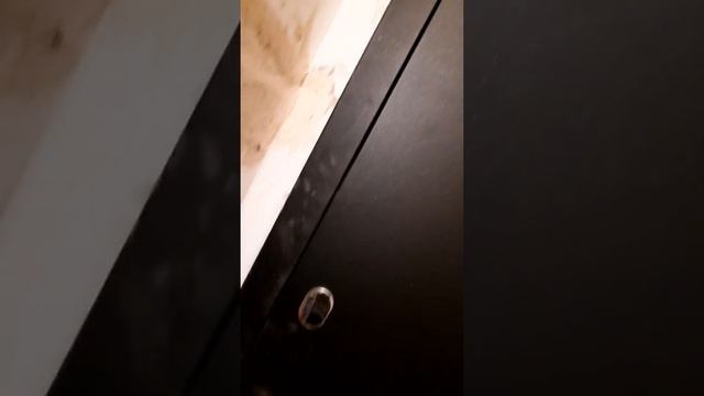 Установка металлической двери смотреть онлайн