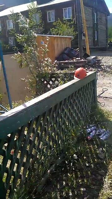 Вот так мы пеним Общягу в иракинде)) смотреть онлайн