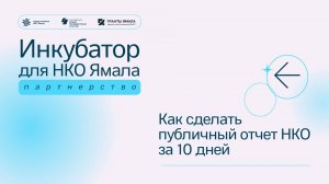 Как сделать  годовой публичный отчет НКО за 10 дней, 15 апреля 2025, спикер Инна Тереш