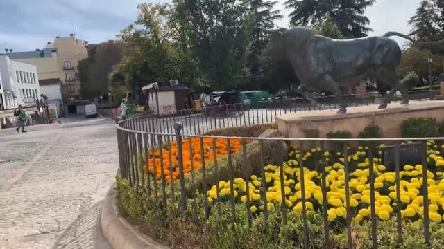 DODO 17 смотреть онлайн