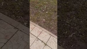 20250414_105650