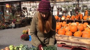 What’s in the CSA Shares (week of 10-15-18)