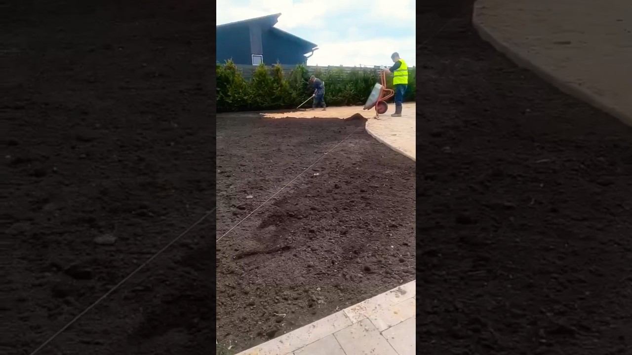 Устройство рулонного газона на участке .