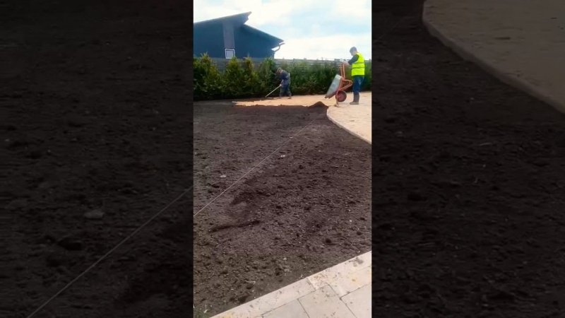 Устройство рулонного газона на участке .