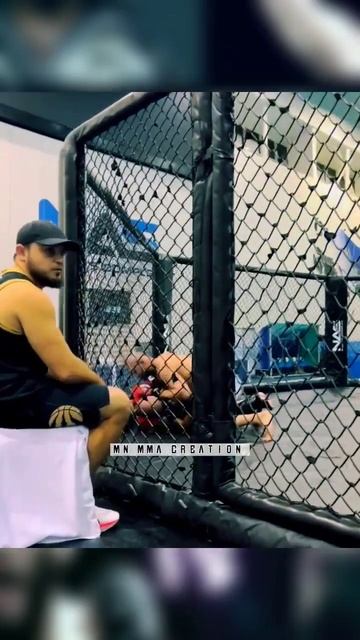 Khamzat Chimaev ground & pound his sparring partner | Dubai training camp 2022 #shorts