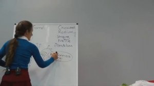 2 ТРАВЫ.  БАРБАРА ОНИЛ