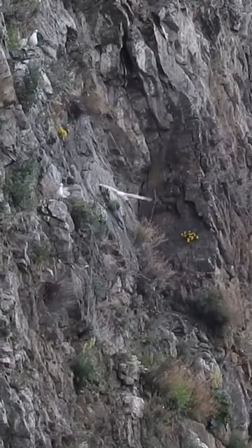 За синим соловьем 33 смотреть онлайн