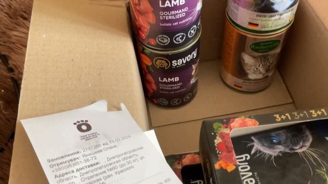 Котики Life of 6 cats Принесла Джонника с клиники Вроде бы ринотрахеит смотреть онлайн