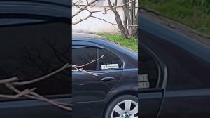 VID-20250413-WA0025(1)