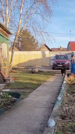Доставка продуктов