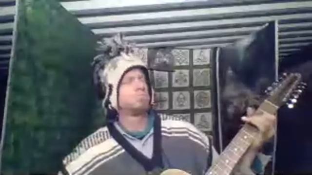 Wind BlowIO12 String Hand Made Seagull Coastline Acoustic Unplugged Test