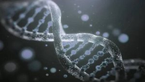 287. Внутренняя работа над собой - это и есть возврат нашего эталонного ДНК!!! Сеанс для Галины.