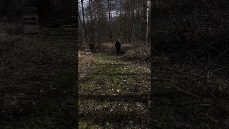 Восстановление старого дома на хуторе. Полный выпуск на канале. #shorts