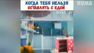 «Жиза Мультфильмов #3»