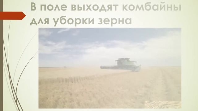 От зёрнышка до хлебушка