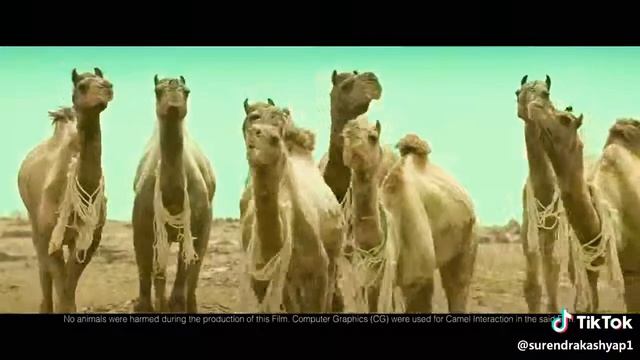 #BESLERI #KI #BOTTLE TOO MUCH FUNNY AD 😂😂😂😂😂😂CAMELS PLANNING