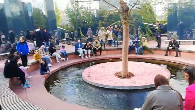 Звезда Велеса - зеркальный лабиринт, парк Галицкого смотреть онлайн