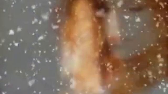 Алла Пугачева feat Анатолий Евдокимов - Свеча горела