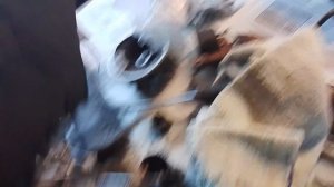 двигатель триммера олеомак Спарта 25