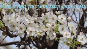 Моя душа рисует мир стихами*  Мой сад