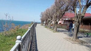 Чудесный день на море