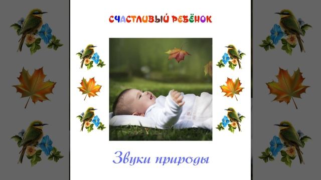 Песни птиц смотреть онлайн