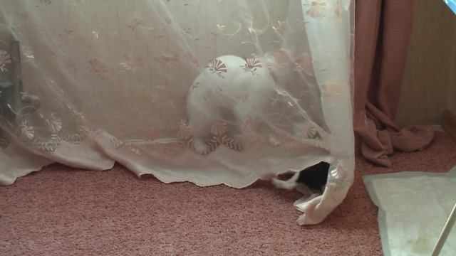 противостояние смотреть онлайн