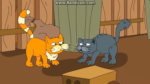 уличные питомцы смотреть онлайн