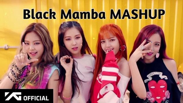 Black Pink - Black Mamba Mashup | Pink Venom M/V | New song 2023